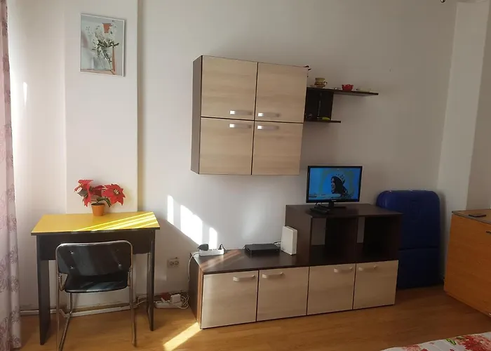 Studio Andreea Apartamento
