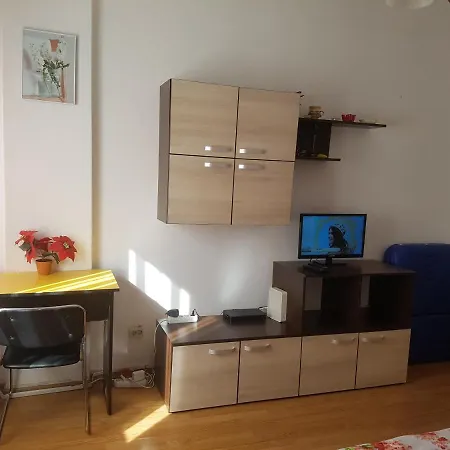 Studio Andreea Appartement
